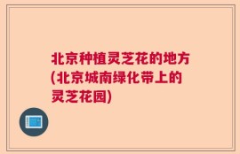 北京种植灵芝花的地方(北京城南绿化带上的灵芝花园)