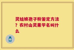 灵姑娘孢子粉鉴定方法？农村山灵果学名叫什么