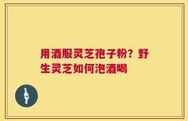 用酒服灵芝孢子粉？野生灵芝如何泡酒喝