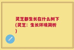 灵芝都生长在什么树下(灵芝：生长环境简析)