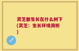 灵芝都生长在什么树下(灵芝：生长环境简析)