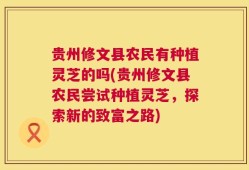 贵州修文县农民有种植灵芝的吗(贵州修文县农民尝试种植灵芝，探索新的致富之路)