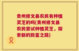 贵州修文县农民有种植灵芝的吗(贵州修文县农民尝试种植灵芝，探索新的致富之路)