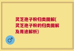 灵芝孢子粉归类图解(灵芝孢子粉的归类图解及用途解析)