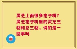 灵芝上面很多孢子粉？灵芝孢子粉里的灵芝三萜和总三萜，说的是一回事吗