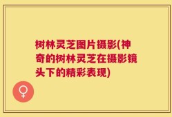 树林灵芝图片摄影(神奇的树林灵芝在摄影镜头下的精彩表现)