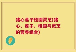 猪心莲子桂圆灵芝(猪心、莲子、桂圆与灵芝的营养组合)