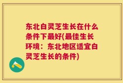 东北白灵芝生长在什么条件下最好(最佳生长环境：东北地区适宜白灵芝生长的条件)