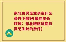 东北白灵芝生长在什么条件下最好(最佳生长环境：东北地区适宜白灵芝生长的条件)