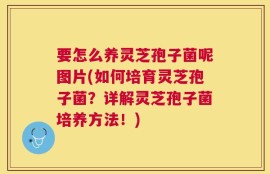 要怎么养灵芝孢子菌呢图片(如何培育灵芝孢子菌？详解灵芝孢子菌培养方法！)