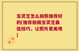 玉灵芝怎么拍照推荐好的(推荐拍摄玉灵芝最佳技巧，让照片更美观)