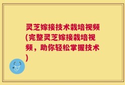 灵芝嫁接技术栽培视频(完整灵芝嫁接栽培视频，助你轻松掌握技术)