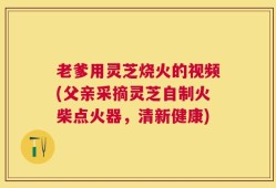 老爹用灵芝烧火的视频(父亲采摘灵芝自制火柴点火器，清新健康)