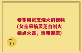 老爹用灵芝烧火的视频(父亲采摘灵芝自制火柴点火器，清新健康)
