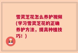 雪灵芝花怎么养护视频(学习雪灵芝花的正确养护方法，提高种植技巧！)