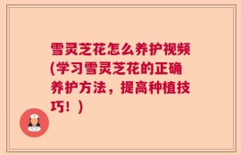 雪灵芝花怎么养护视频(学习雪灵芝花的正确养护方法，提高种植技巧！)