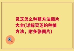 灵芝怎么种殖方法图片大全(详解灵芝的种植方法，附多张图片)