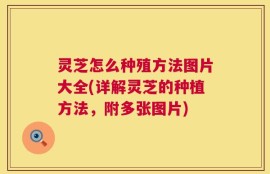 灵芝怎么种殖方法图片大全(详解灵芝的种植方法，附多张图片)