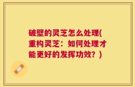 破壁的灵芝怎么处理(重构灵芝：如何处理才能更好的发挥功效？)