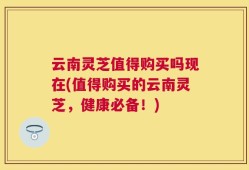 云南灵芝值得购买吗现在(值得购买的云南灵芝，健康必备！)
