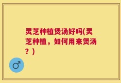 灵芝种植煲汤好吗(灵芝种植，如何用来煲汤？)