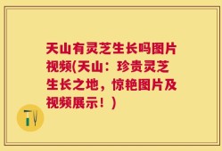 天山有灵芝生长吗图片视频(天山：珍贵灵芝生长之地，惊艳图片及视频展示！)