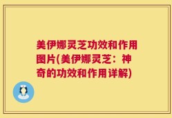 美伊娜灵芝功效和作用图片(美伊娜灵芝：神奇的功效和作用详解)