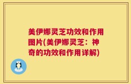 美伊娜灵芝功效和作用图片(美伊娜灵芝：神奇的功效和作用详解)