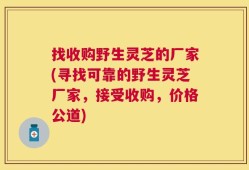 找收购野生灵芝的厂家(寻找可靠的野生灵芝厂家，接受收购，价格公道)
