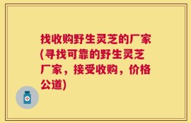 找收购野生灵芝的厂家(寻找可靠的野生灵芝厂家，接受收购，价格公道)