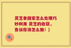 灵芝拿回家怎么处理巧妙利用 灵芝的收获，告诉你该怎么做！)