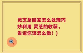 灵芝拿回家怎么处理巧妙利用 灵芝的收获，告诉你该怎么做！)