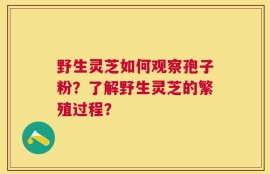 野生灵芝如何观察孢子粉？了解野生灵芝的繁殖过程？