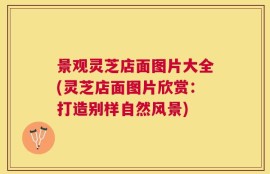 景观灵芝店面图片大全(灵芝店面图片欣赏：打造别样自然风景)