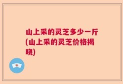 山上采的灵芝多少一斤(山上采的灵芝价格揭晓)