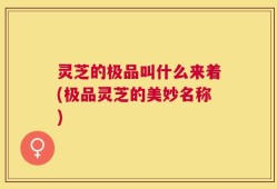 灵芝的极品叫什么来着(极品灵芝的美妙名称)