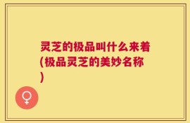 灵芝的极品叫什么来着(极品灵芝的美妙名称)
