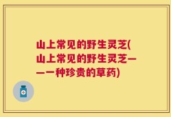 山上常见的野生灵芝(山上常见的野生灵芝——一种珍贵的草药)