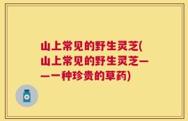 山上常见的野生灵芝(山上常见的野生灵芝——一种珍贵的草药)