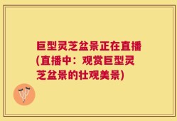 巨型灵芝盆景正在直播(直播中：观赏巨型灵芝盆景的壮观美景)