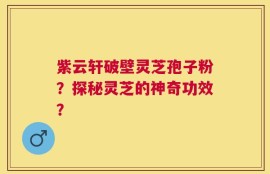 紫云轩破壁灵芝孢子粉？探秘灵芝的神奇功效？