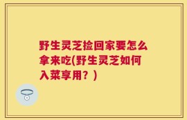 野生灵芝捡回家要怎么拿来吃(野生灵芝如何入菜享用？)