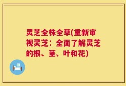 灵芝全株全草(重新审视灵芝：全面了解灵芝的根、茎、叶和花)