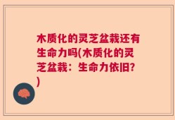 木质化的灵芝盆栽还有生命力吗(木质化的灵芝盆栽：生命力依旧？)