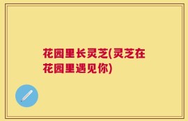 花园里长灵芝(灵芝在花园里遇见你)