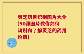灵芝药用识别图片大全(50张图片教你如何识别和了解灵芝的药用价值)