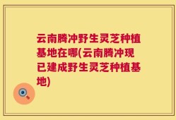 云南腾冲野生灵芝种植基地在哪(云南腾冲现已建成野生灵芝种植基地)