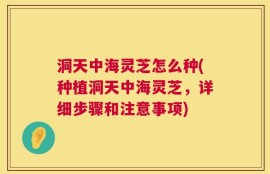 洞天中海灵芝怎么种(种植洞天中海灵芝，详细步骤和注意事项)