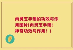 肉灵芝手镯的功效与作用图片(肉灵芝手镯：神奇功效与作用！)