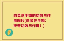 肉灵芝手镯的功效与作用图片(肉灵芝手镯：神奇功效与作用！)